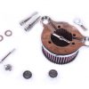 Filtro Alto Flujo Skull Cromo Para Harley Davidson Sportster - Image 2