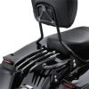 Parrilla Stealth Quitapon Negra Harley Touring 09 O Mas - Image 6