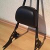 Respaldo Quitapon Para Harley Davidson Sportster 04 O Mas