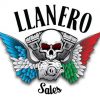 Respaldo Quitapon Para Harley Davidson Sportster 04 O Mas - Image 5