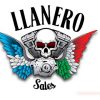 Foco Led Para Direccionales 1 Polo Ambar De Harley Davidson - Image 6