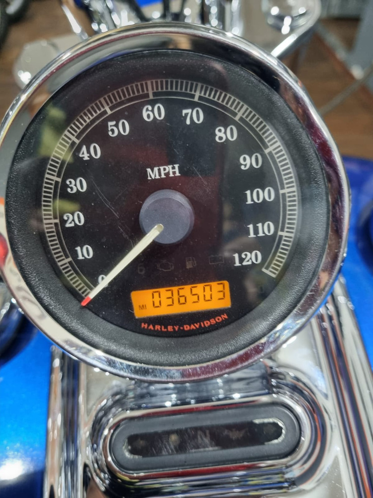 706050-MLM87733033891_072025