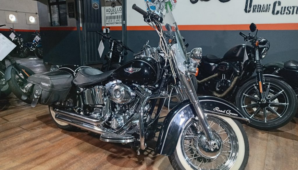 861304-MLM98781792333_112025