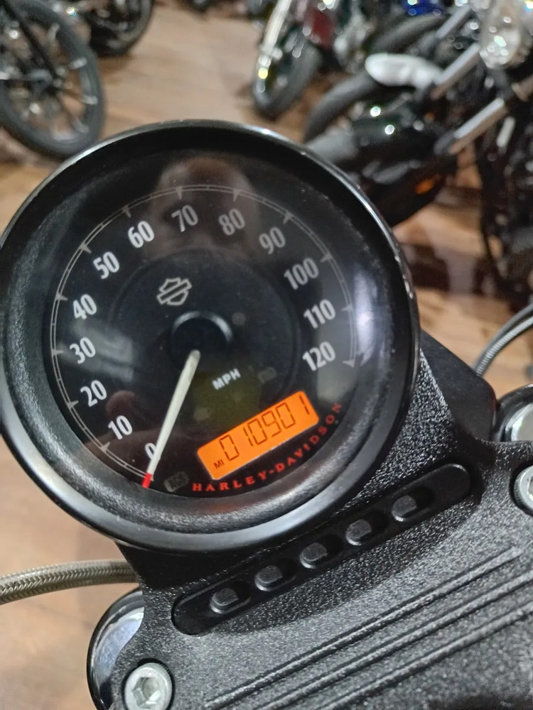 735774-MLM109483837330_042026